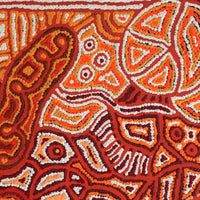 Aboriginal Artwork by Reva Nungarrayi Dickson, Snake Vine Dreaming - Purturlu, 61x46cm