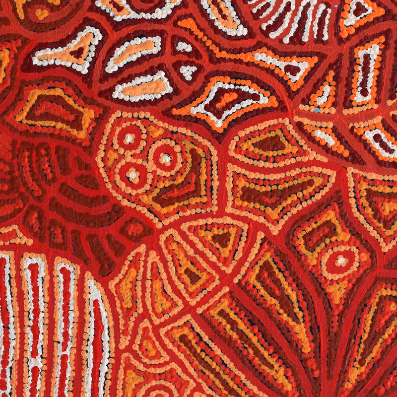 Aboriginal Artwork by Reva Nungarrayi Dickson, Snake Vine Dreaming - Purturlu, 61x46cm
