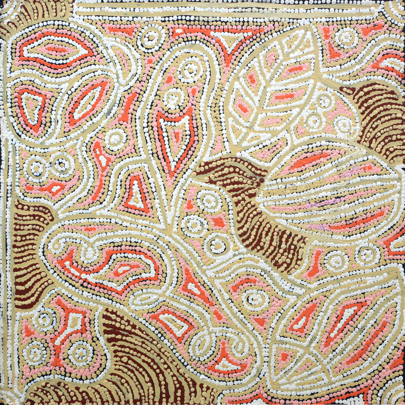 Aboriginal Artwork by Reva Nungarrayi Dickson, Snake Vine Dreaming - Purturlu, 46x46cm