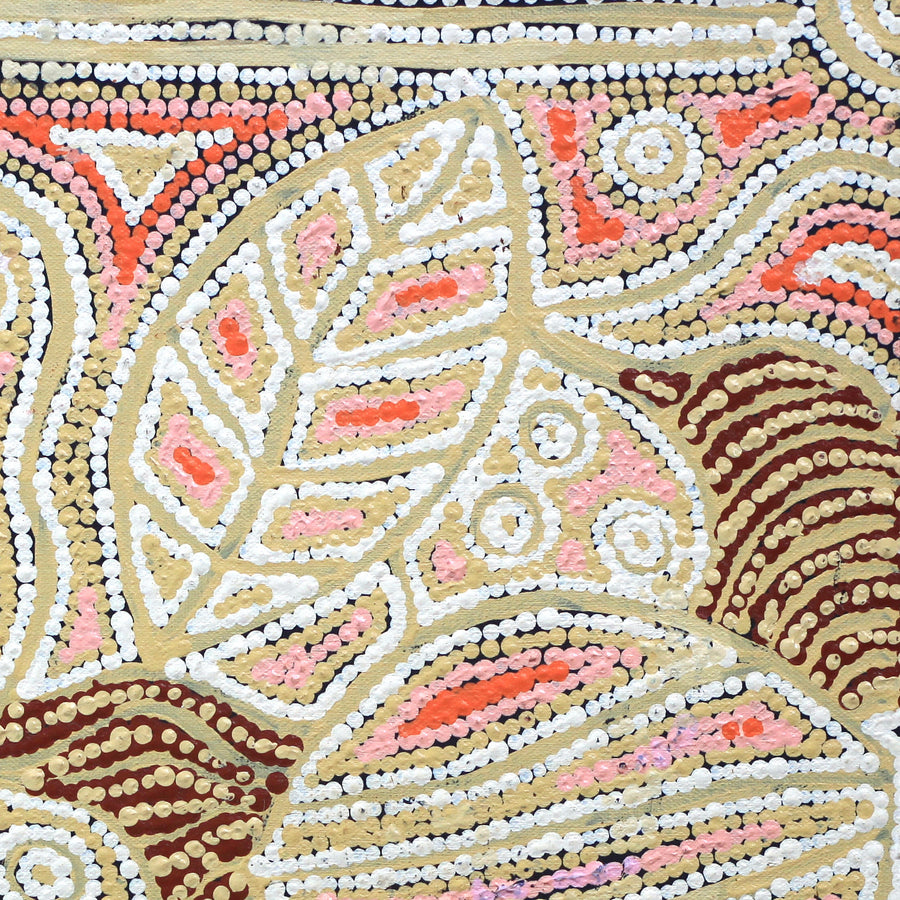 Aboriginal Artwork by Reva Nungarrayi Dickson, Snake Vine Dreaming - Purturlu, 46x46cm