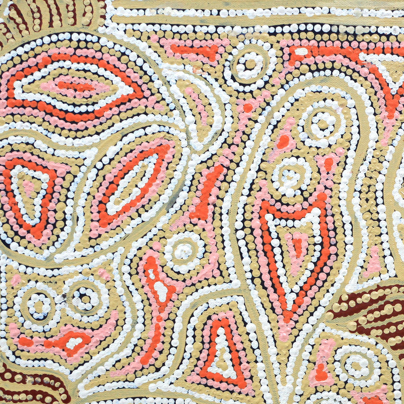 Aboriginal Artwork by Reva Nungarrayi Dickson, Snake Vine Dreaming - Purturlu, 46x46cm