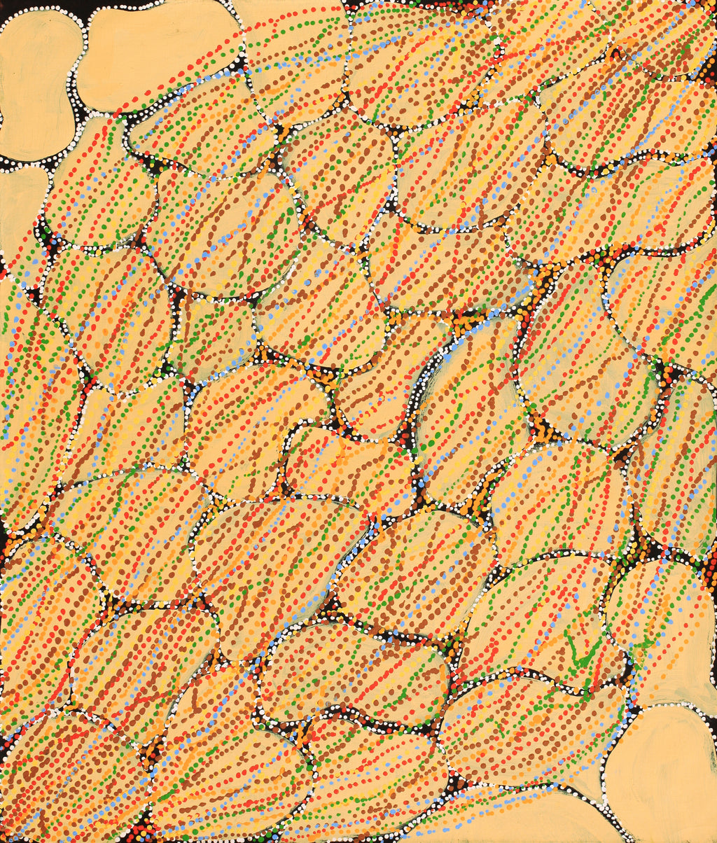 Aboriginal Artwork by Ricardo Jampijinpa Gallagher, Yankirri Jukurrpa (Emu Dreaming) - Ngarlikurlangu, 107x91cm