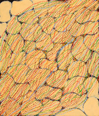 Aboriginal Artwork by Ricardo Jampijinpa Gallagher, Yankirri Jukurrpa (Emu Dreaming) - Ngarlikurlangu, 107x91cm