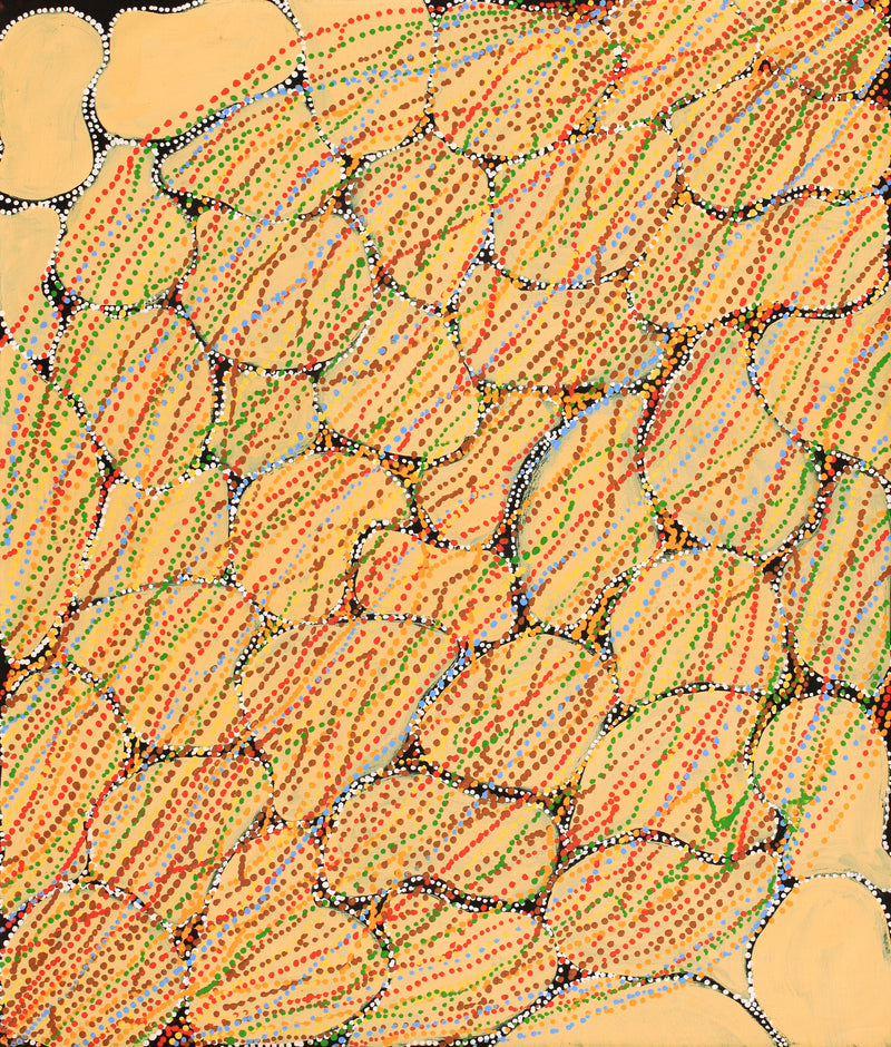 Aboriginal Artwork by Ricardo Jampijinpa Gallagher, Yankirri Jukurrpa (Emu Dreaming) - Ngarlikurlangu, 107x91cm