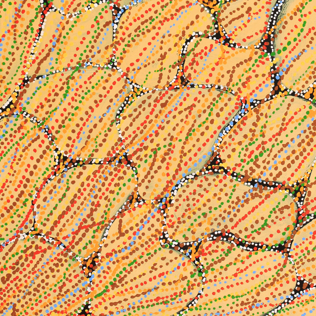 Aboriginal Artwork by Ricardo Jampijinpa Gallagher, Yankirri Jukurrpa (Emu Dreaming) - Ngarlikurlangu, 107x91cm