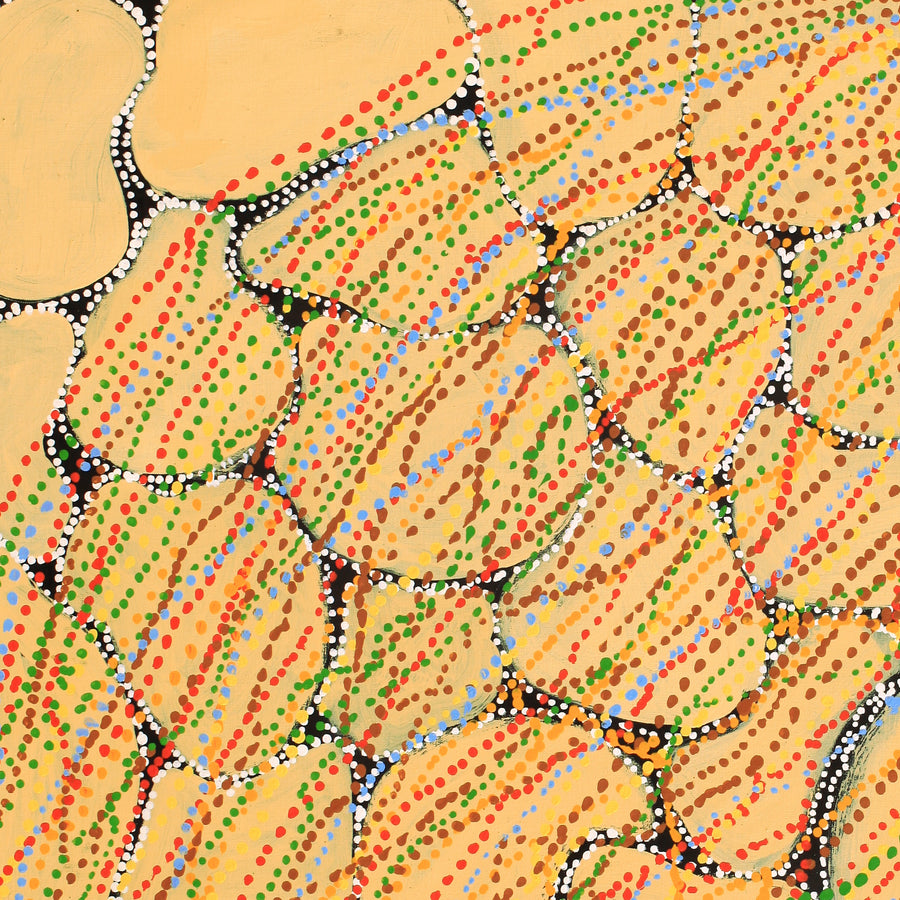 Aboriginal Artwork by Ricardo Jampijinpa Gallagher, Yankirri Jukurrpa (Emu Dreaming) - Ngarlikurlangu, 107x91cm