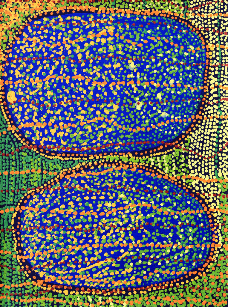 Aboriginal Artwork by Ricardo Jampijinpa Gallagher, Yankirri Jukurrpa, 61x46cm