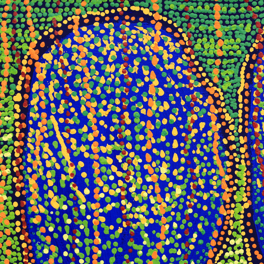 Aboriginal Artwork by Ricardo Jampijinpa Gallagher, Yankirri Jukurrpa, 61x46cm