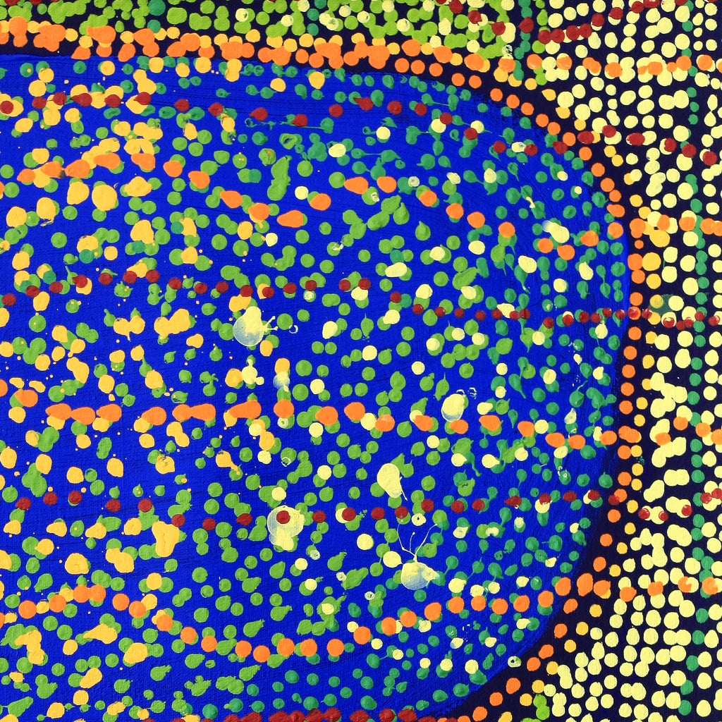 Aboriginal Artwork by Ricardo Jampijinpa Gallagher, Yankirri Jukurrpa, 61x46cm