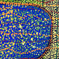 Aboriginal Artwork by Ricardo Jampijinpa Gallagher, Yankirri Jukurrpa, 61x46cm