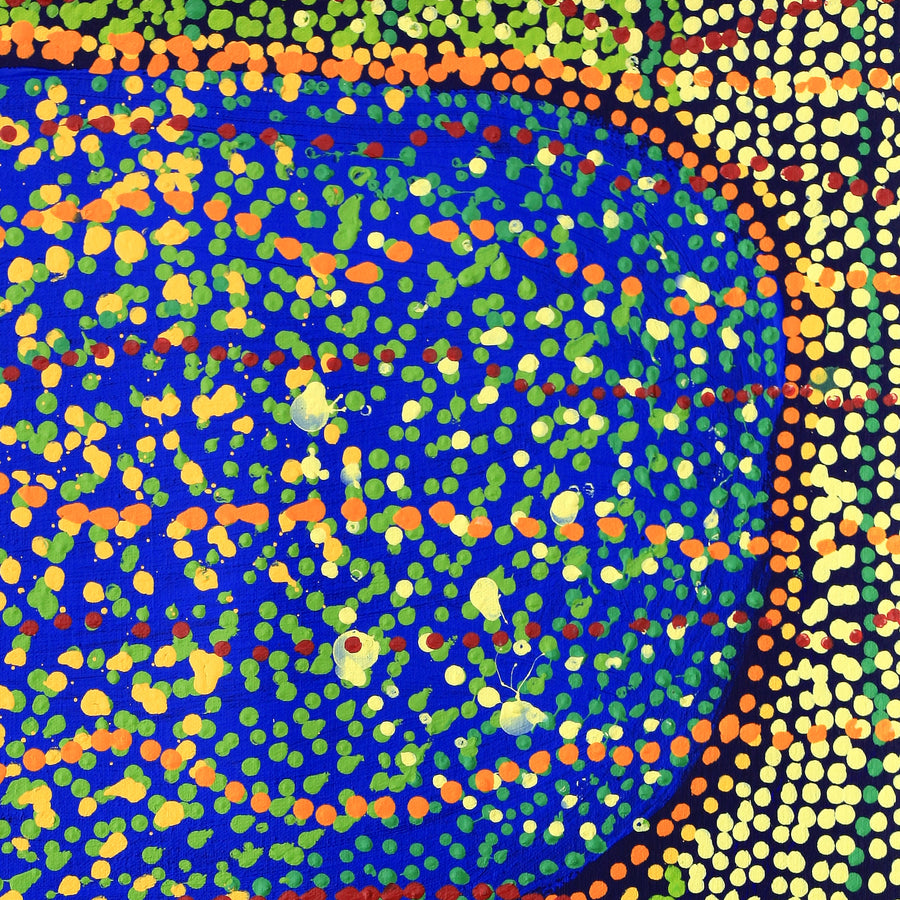 Aboriginal Artwork by Ricardo Jampijinpa Gallagher, Yankirri Jukurrpa, 61x46cm