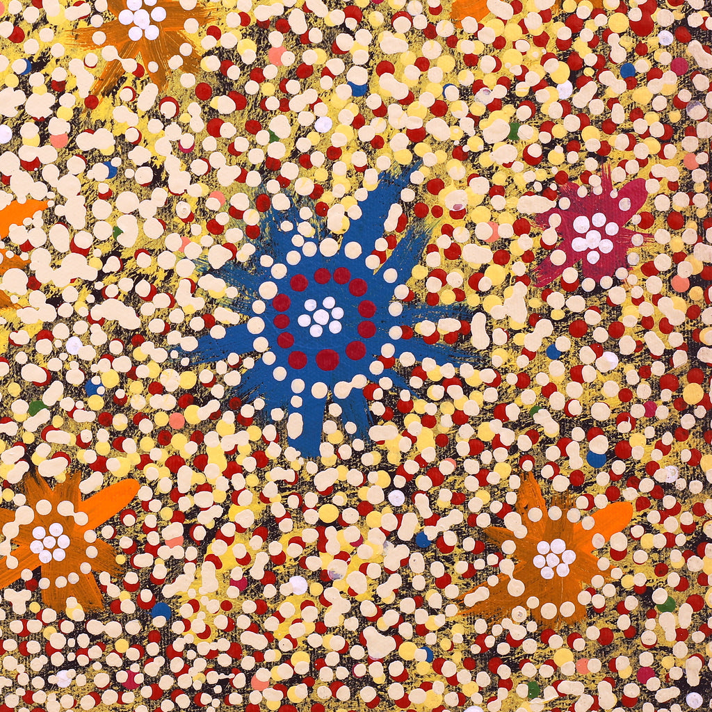 Aboriginal Artwork by Richard Japanangka Frank, Lukarrara Jukurrpa, 40x40cm