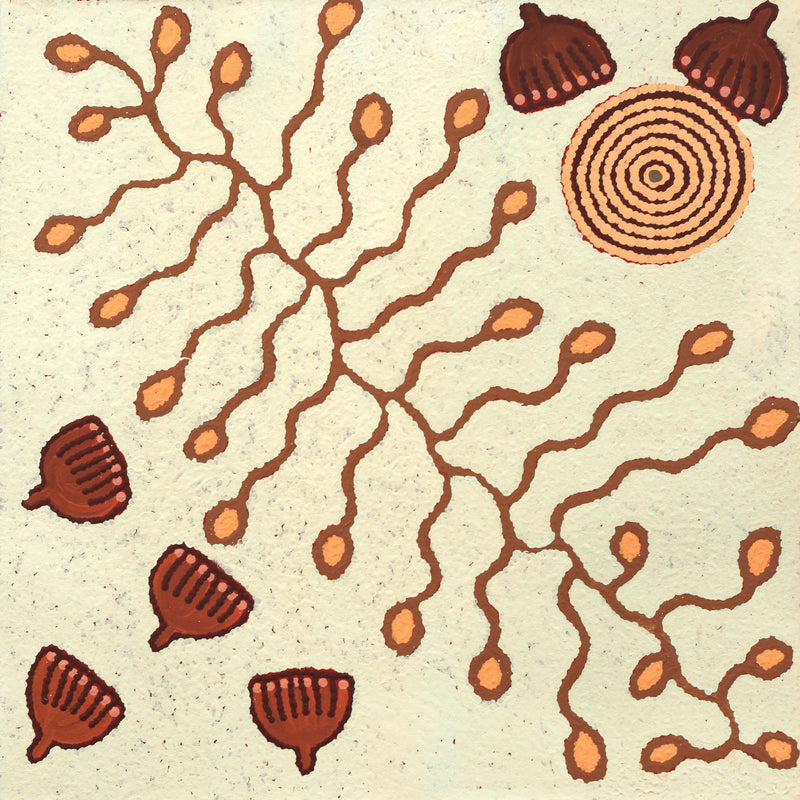 Aboriginal Artwork by Rita Watson, Tjintitia Tjukurpa, 60x60cm