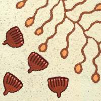 Aboriginal Artwork by Rita Watson, Tjintitia Tjukurpa, 60x60cm