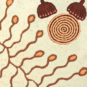 Aboriginal Art by Rita Watson, Tjintitia Tjukurpa, 60x60cm - ART ARK®