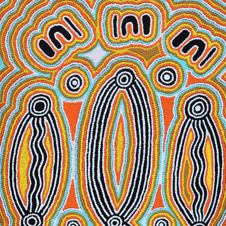 Aboriginal Artwork by Rita Napanangka Wheeler, Mina Mina Jukurrpa (Mina Mina Dreaming) - Janyinki, 91x46cm