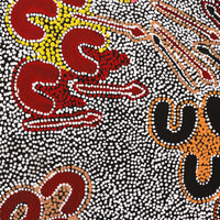 Aboriginal Artwork by Ritasha Nampijinpa Martin, Janganpa Jukurrpa (Brush-tail Possum Dreaming) - Mawurrji, 107x61cm