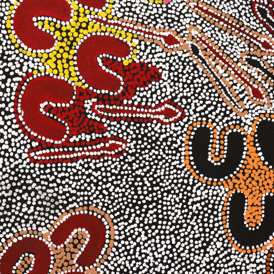 Aboriginal Artwork by Ritasha Nampijinpa Martin, Janganpa Jukurrpa (Brush-tail Possum Dreaming) - Mawurrji, 107x61cm