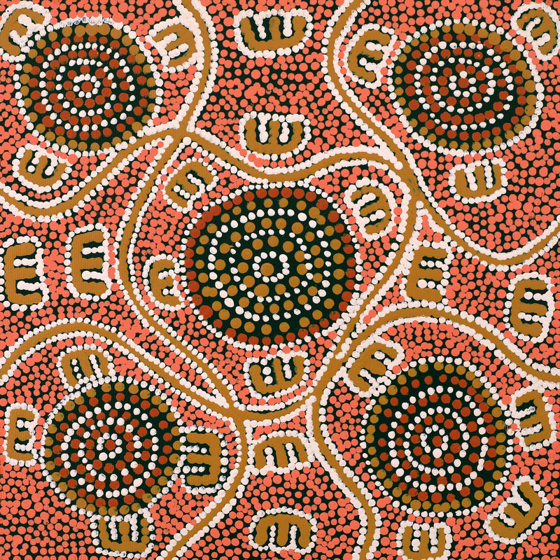 Aboriginal Artwork by Ritasha Nampijinpa Watson, Janganpa Jukurrpa (Brush-tail Possum Dreaming) - Mawurrji, 30x30cm