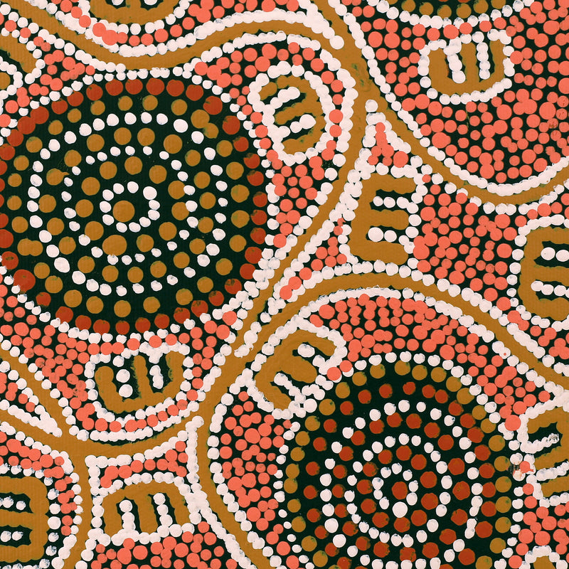 Aboriginal Artwork by Ritasha Nampijinpa Watson, Janganpa Jukurrpa (Brush-tail Possum Dreaming) - Mawurrji, 30x30cm