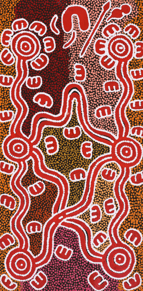 Aboriginal Artwork by Ritasha Nampijinpa Martin, Janganpa Jukurrpa (Brush-tail Possum Dreaming) - Mawurrji, 61x30cm