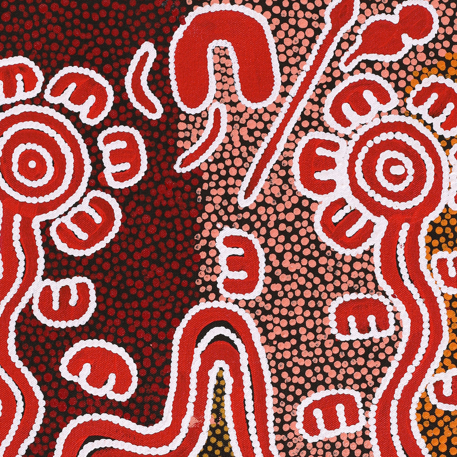 Aboriginal Artwork by Ritasha Nampijinpa Martin, Janganpa Jukurrpa (Brush-tail Possum Dreaming) - Mawurrji, 61x30cm
