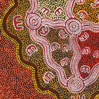 Aboriginal Artwork by Ritasha Nampijinpa Martin, Janganpa Jukurrpa (Brush-tail Possum Dreaming) - Mawurrji, 61x46cm