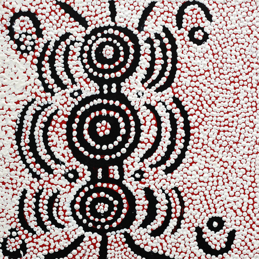 Aboriginal Artwork by Ritchie Jampijinpa Robertson, Ngapa Jukurrpa (Water Dreaming) - Puyurru, 30x30cm