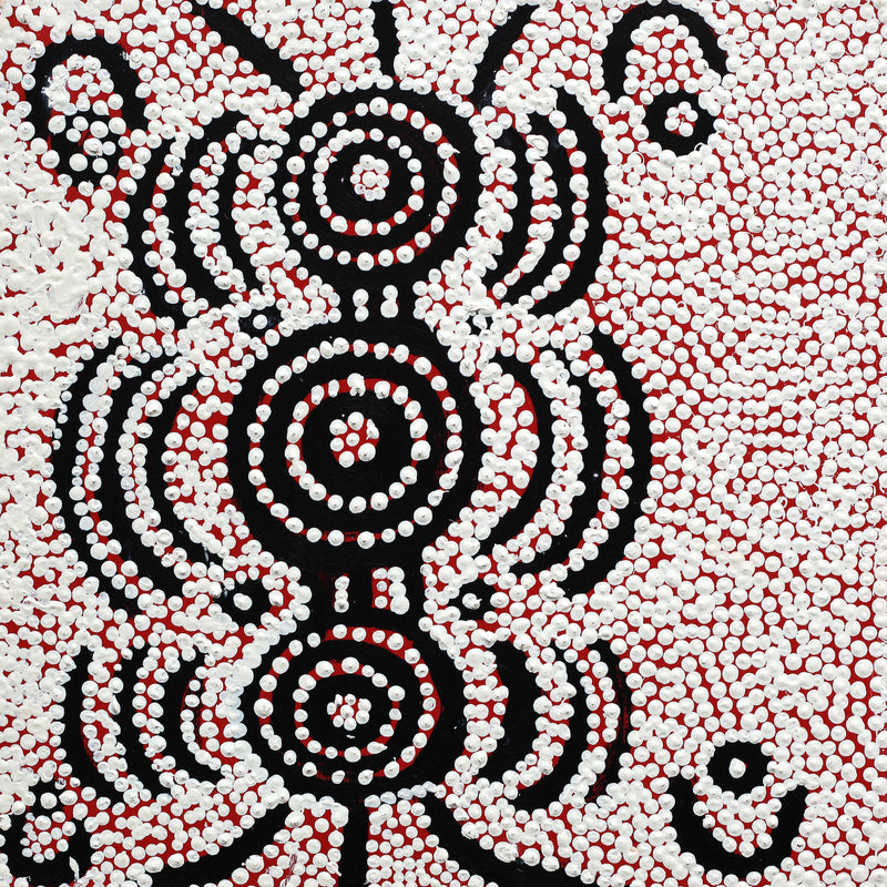 Aboriginal Artwork by Ritchie Jampijinpa Robertson, Ngapa Jukurrpa (Water Dreaming) - Puyurru, 30x30cm