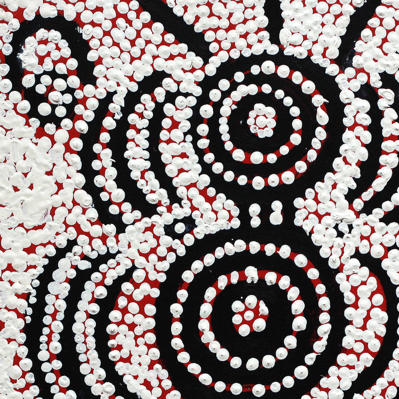 Aboriginal Artwork by Ritchie Jampijinpa Robertson, Ngapa Jukurrpa (Water Dreaming) - Puyurru, 30x30cm