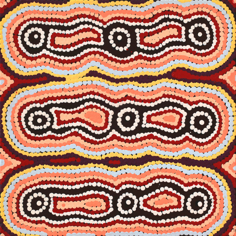 Aboriginal Artwork by Rochelle Nakamarra Curtis, Yarla Jukurrpa (Bush Potato Dreaming) - Cockatoo Creek, 30x30cm