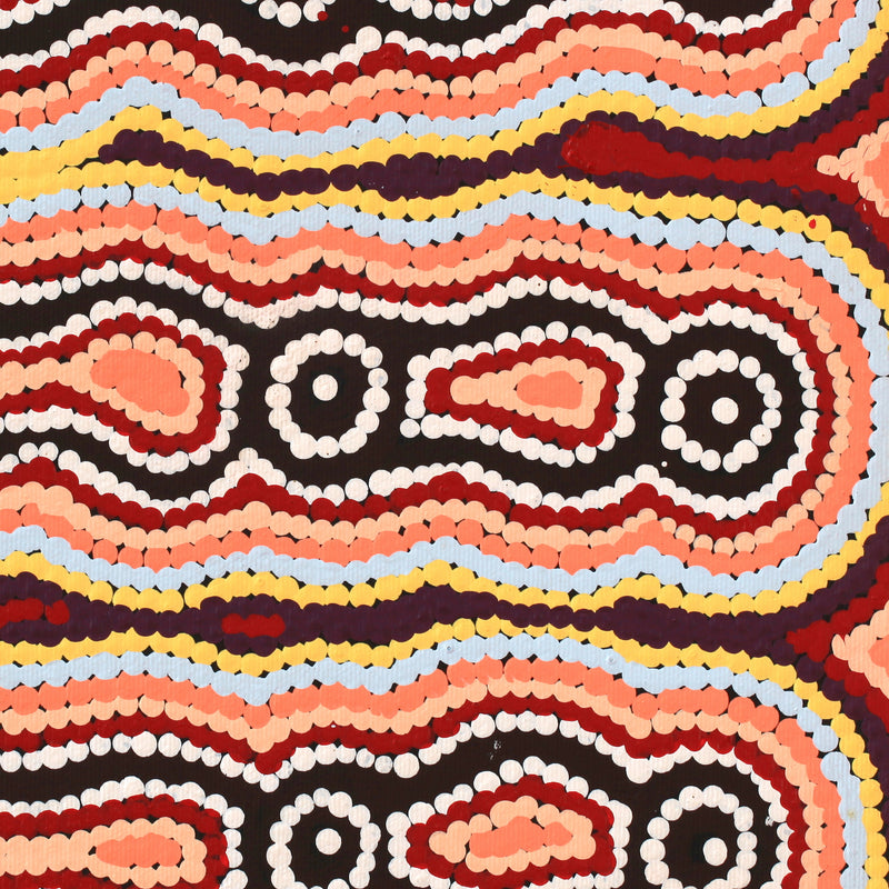 Aboriginal Artwork by Rochelle Nakamarra Curtis, Yarla Jukurrpa (Bush Potato Dreaming) - Cockatoo Creek, 30x30cm