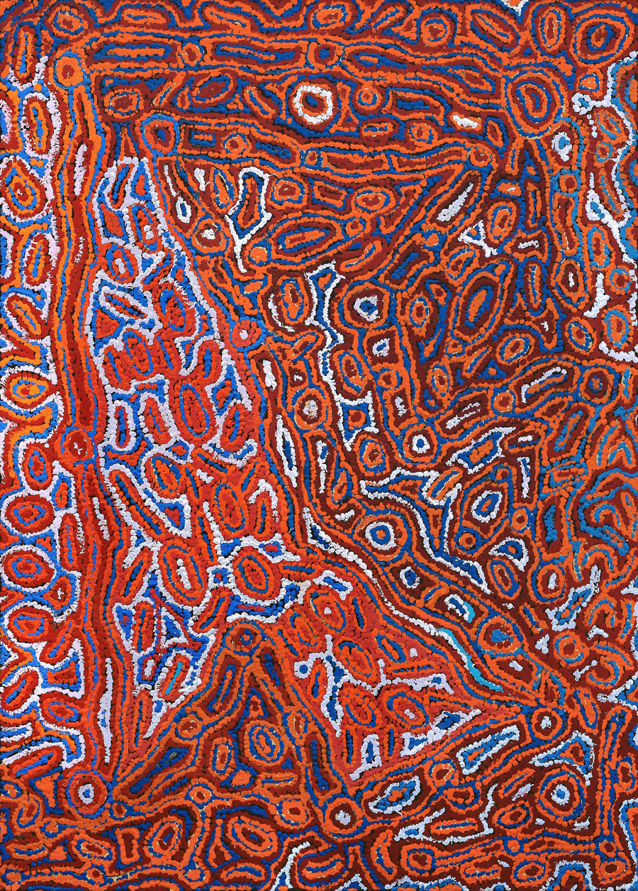 Aboriginal Artwork by Rochelle Nakamarra Curtis, Lappi Lappi Dreaming, 107x76cm