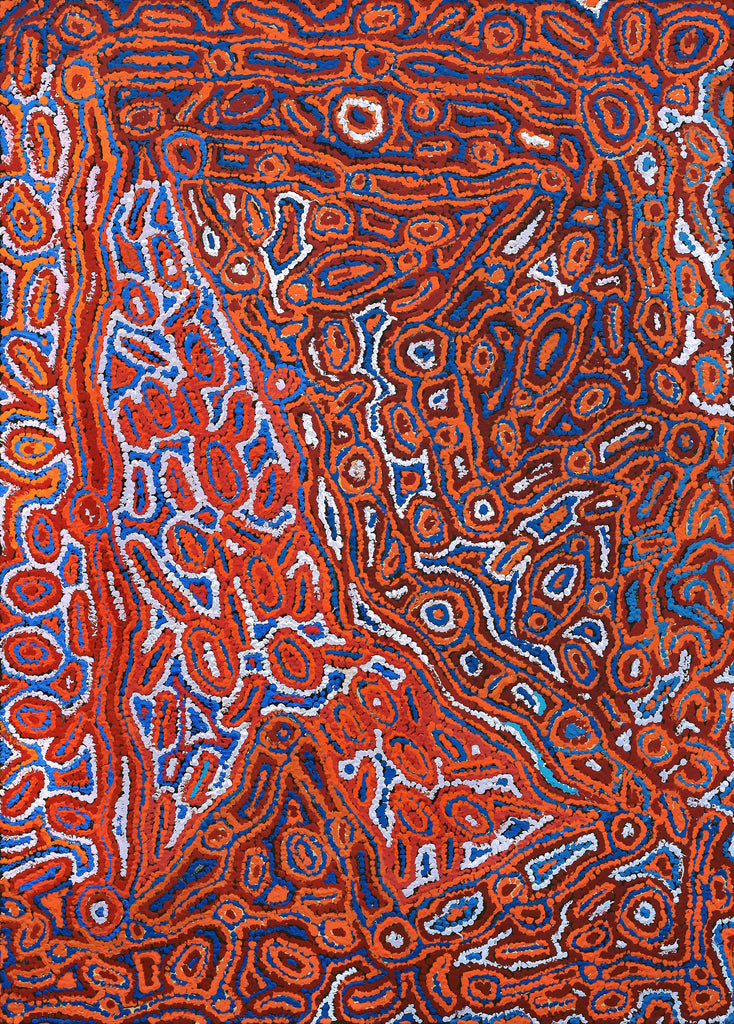 Aboriginal Artwork by Rochelle Nakamarra Curtis, Lappi Lappi Dreaming, 107x76cm