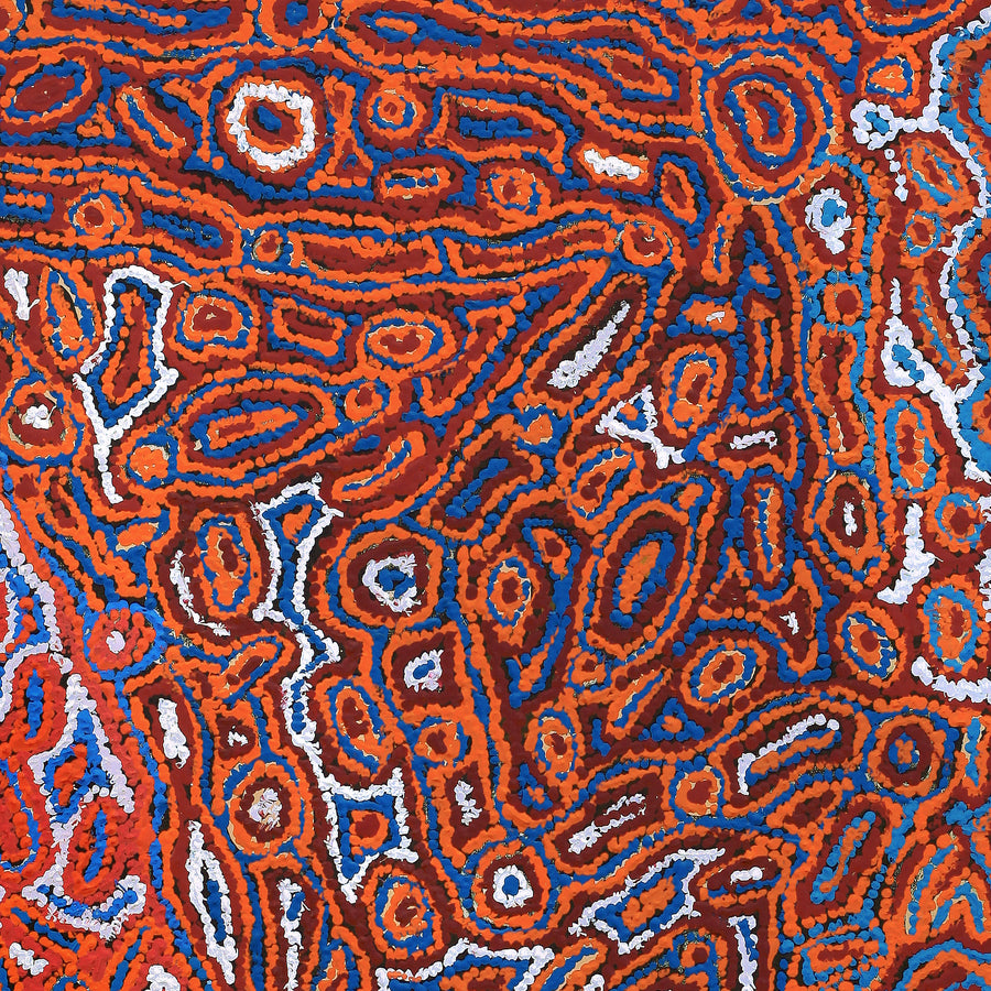 Aboriginal Artwork by Rochelle Nakamarra Curtis, Lappi Lappi Dreaming, 107x76cm