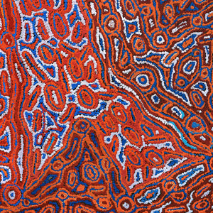 Aboriginal Artwork by Rochelle Nakamarra Curtis, Lappi Lappi Dreaming, 107x76cm - ART ARK®