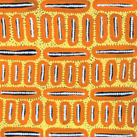 Aboriginal Artwork by Roderick Japangardi Green, Yankirri Jukurrpa (Emu Dreaming) - Ngarlikurlangu, 61x46cm