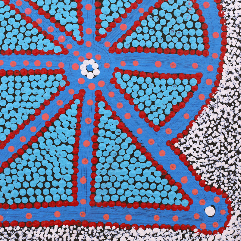 Aboriginal Artwork by Roseanne Napangardi Wheeler, Mina Mina Jukurrpa (Mina Mina Dreaming), 30x30cm