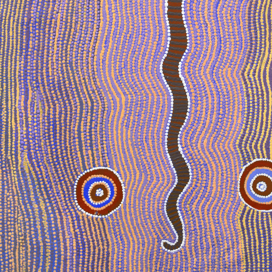 Aboriginal Artwork by Rosie Nangala Flemming, Ngapa manu Warna Jukurrpa (Water & Snake Dreaming), 107x61cm