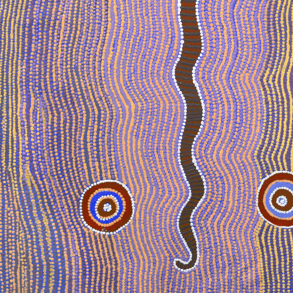 Aboriginal Artwork by Rosie Nangala Flemming, Ngapa manu Warna Jukurrpa (Water & Snake Dreaming), 107x61cm - ART ARK®