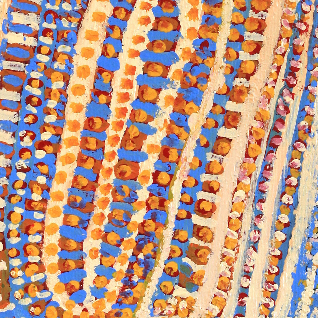 Aboriginal Artwork by Rosie Nangala Flemming, Ngapa Jukurrpa - Mikanji 30x30cm
