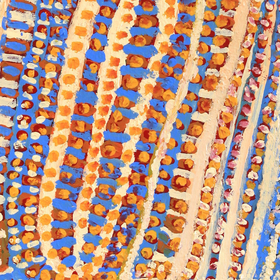 Aboriginal Artwork by Rosie Nangala Flemming, Ngapa Jukurrpa - Mikanji 30x30cm
