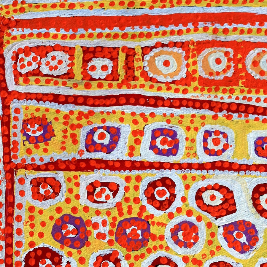 Aboriginal Artwork by Rosie Nangala Flemming, Ngapa Jukurrpa (Water Dreaming) - Mikanji, 61x30cm