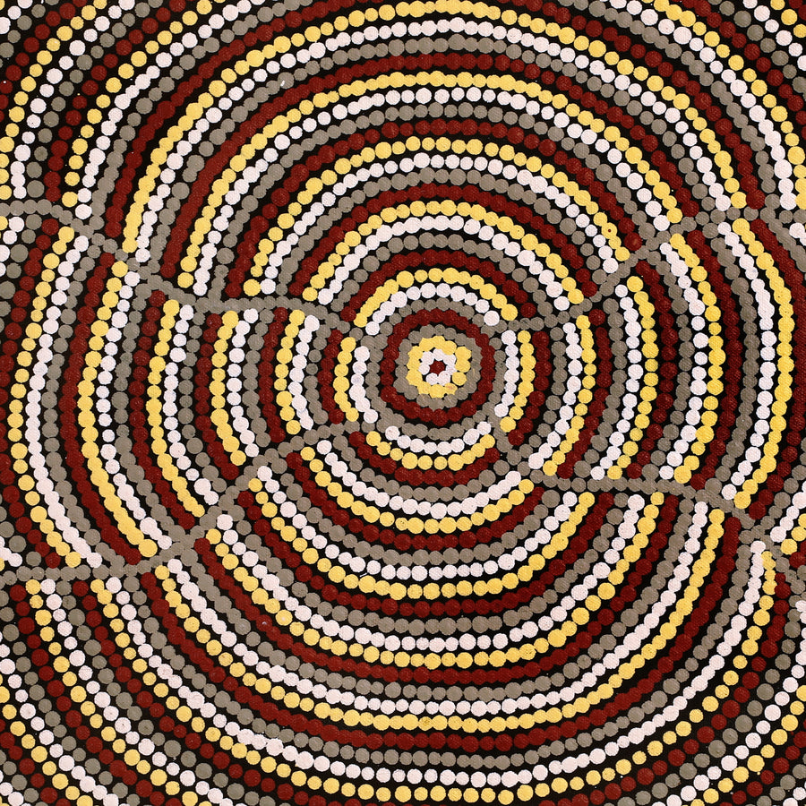 Aboriginal Artwork by Rosina Napurrurla White, Ngapa Jukurrpa (Water Dreaming) - Mikanji, 61x30cm