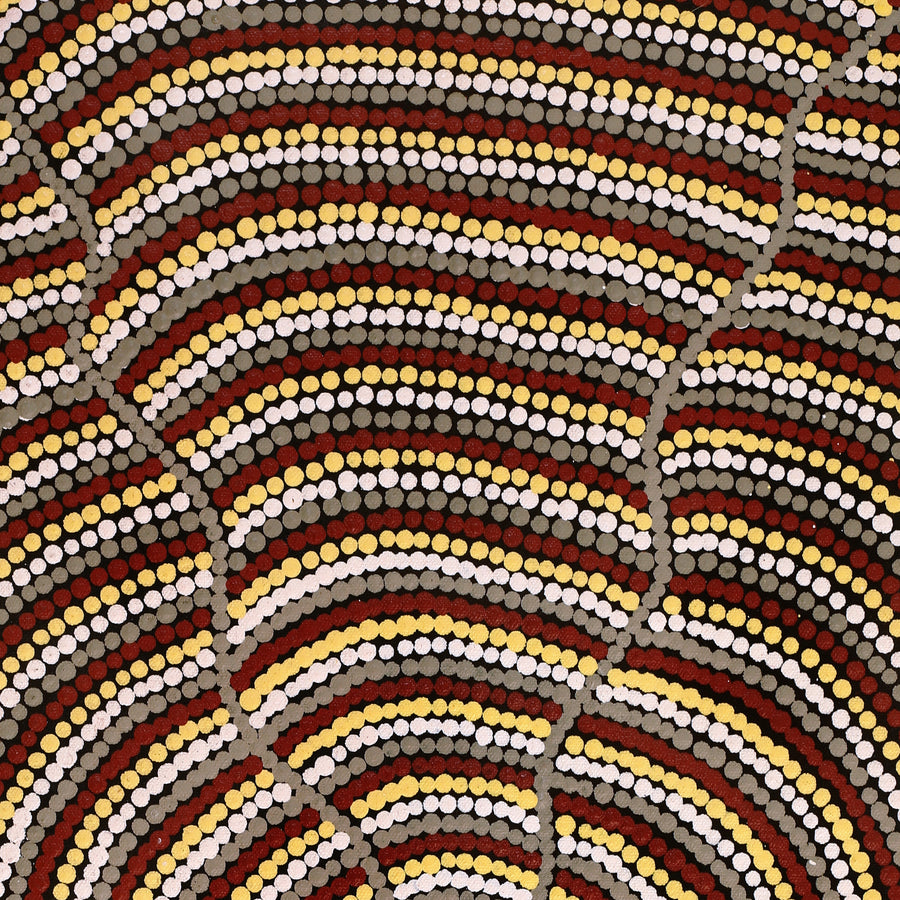 Aboriginal Artwork by Rosina Napurrurla White, Ngapa Jukurrpa (Water Dreaming) - Mikanji, 61x30cm