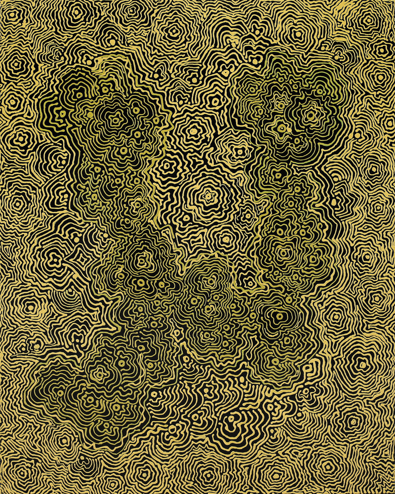 Aboriginal Artwork by Roxanne Napaljarri Collins, Yurrampi Jukurrpa (Honey Ant Dreaming), 50x40cm