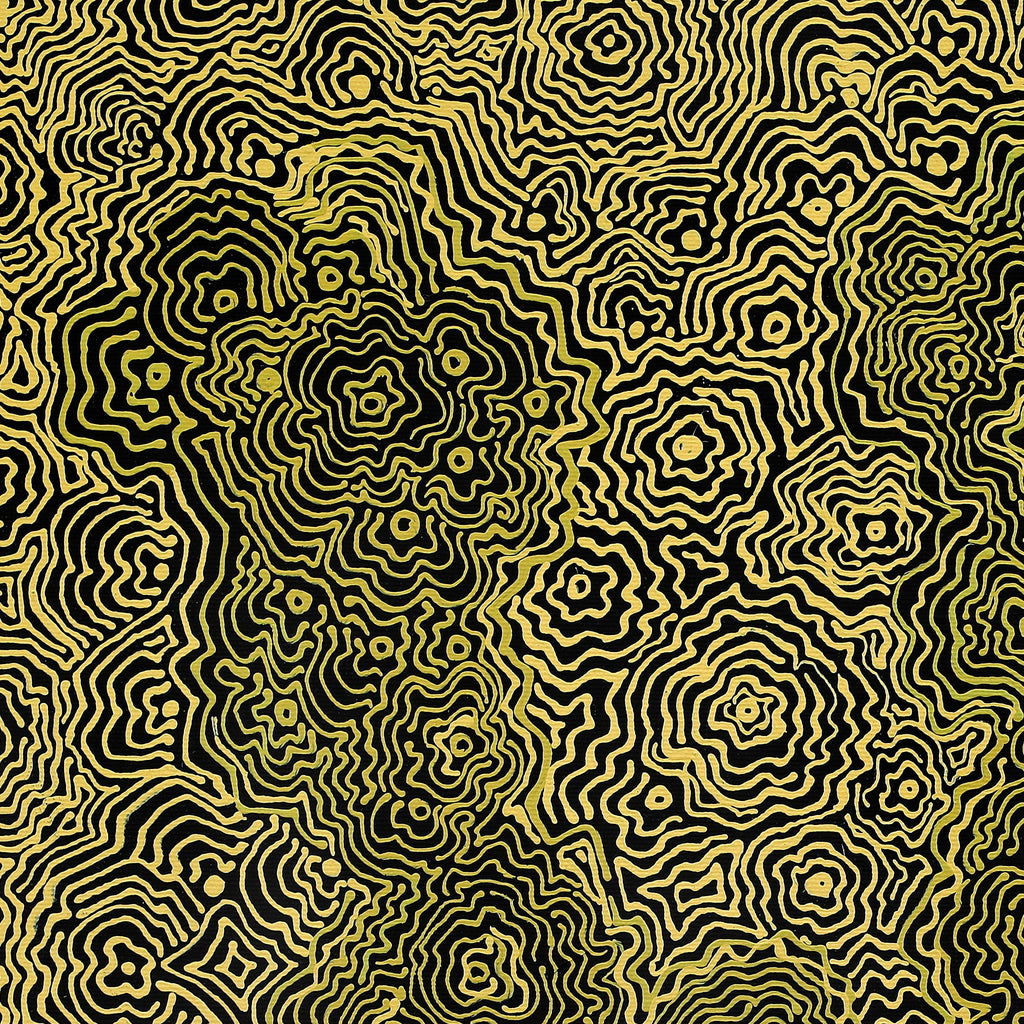Aboriginal Artwork by Roxanne Napaljarri Collins, Yurrampi Jukurrpa (Honey Ant Dreaming), 50x40cm