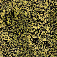 Aboriginal Artwork by Roxanne Napaljarri Collins, Yurrampi Jukurrpa (Honey Ant Dreaming), 50x40cm