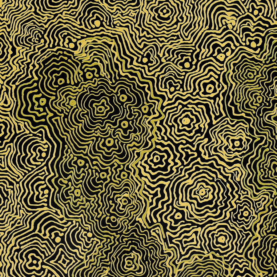 Aboriginal Artwork by Roxanne Napaljarri Collins, Yurrampi Jukurrpa (Honey Ant Dreaming), 50x40cm