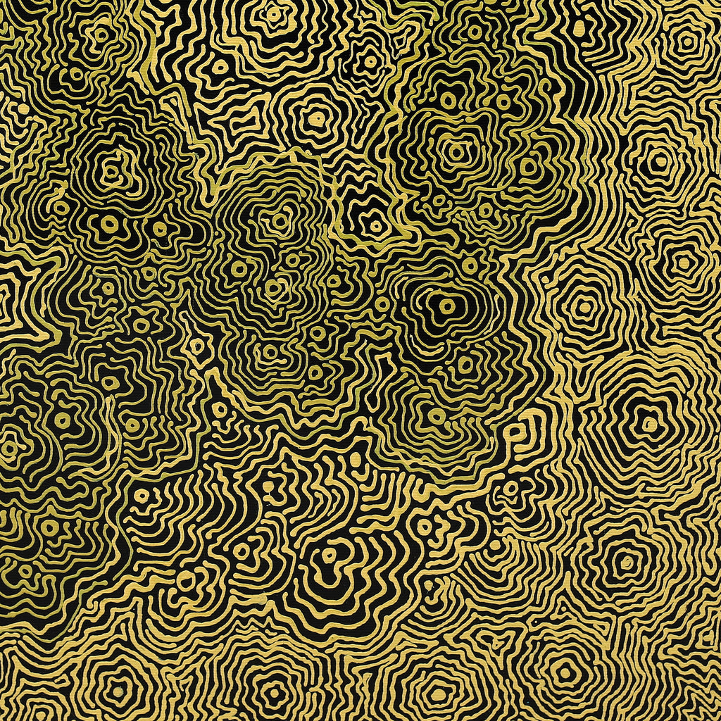 Aboriginal Artwork by Roxanne Napaljarri Collins, Yurrampi Jukurrpa (Honey Ant Dreaming), 50x40cm